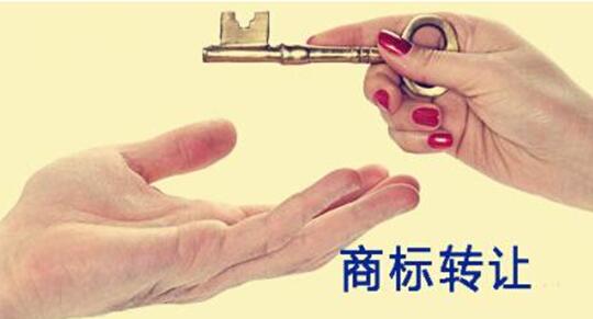 轉(zhuǎn)讓商標(biāo)平臺能為用戶提供哪些服務(wù)